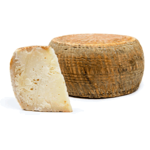 Pecorino Wheels